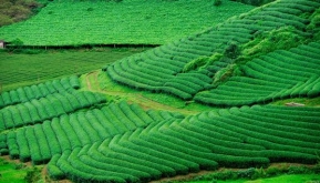 Du lịch Mộc Châu