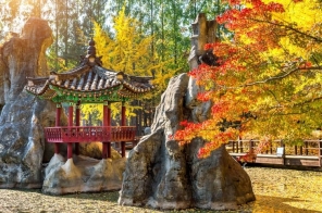 Tour du lịch Hàn Quốc 5N4Đ: Seoul - Everland - Đảo Nami (MÙA THU)