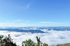 Tour Du lịch Săn Mây Tà Xùa 2N1Đ : Săn Mây Tà Xùa - Thảo Nguyên - Tà Xùa Ecolodge 2025