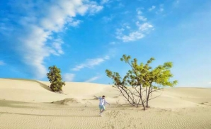 Cồn cát Quang Phú – Thiên đường cát trắng giữa miền Trung nắng gió