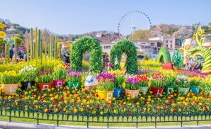 Everland: Công Viên Chủ Đề Lớn Nhất Hàn Quốc – Thiên Đường Giải Trí Tại Seoul Sôi Động
