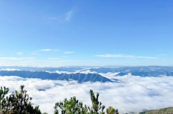 Tour Du lịch Săn Mây Tà Xùa 2N1Đ : Săn Mây Tà Xùa - Thảo Nguyên - Tà Xùa Ecolodge 2025