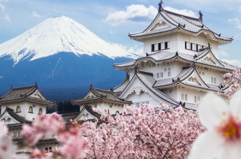 Tour du lịch Nhật Bản Lễ hội hoa anh đào 6N5Đ: Tokyo - Núi Phú Sĩ – Nagoya - Kyoto - Osaka