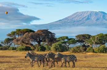 Tour du lịch Châu Phi 8N7Đ: KENYA - ETHIOPIA