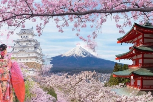 Top 10 điểm thu hút khách du lịch phổ biến nhất Nhật Bản
