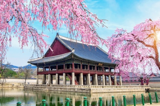 15 mẹo du lịch Hàn Quốc hay nhất: Những điều cần biết