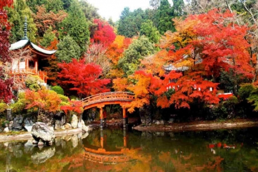 Khám phá Nhật Bản vào mùa thu 