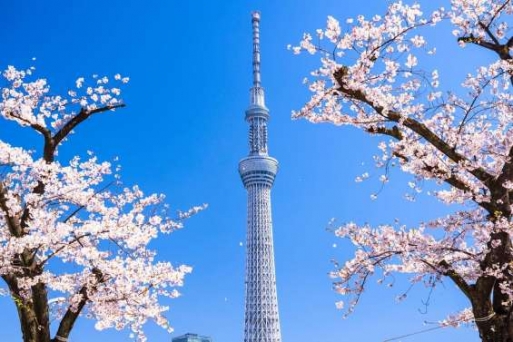 Tìm hiểu Tháp truyền hình cao nhất thế giới Tokyo Sky Tree 