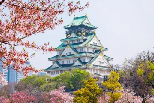 Điểm danh 10 địa điểm hàng đầu để ngắm hoa anh đào ở Osaka