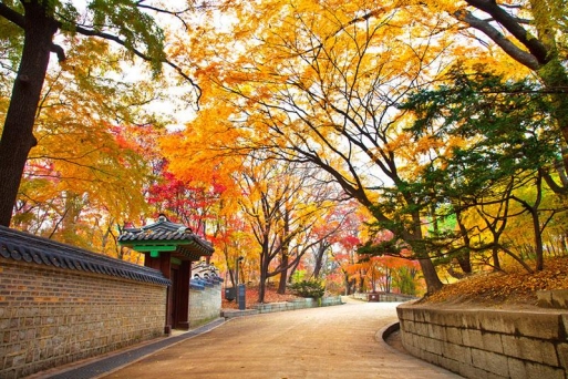 Tour Du Lịch Hàn Quốc 5 Ngày 4 Đêm: Khám Phá Mùa Thu Xứ Sở Kim Chi