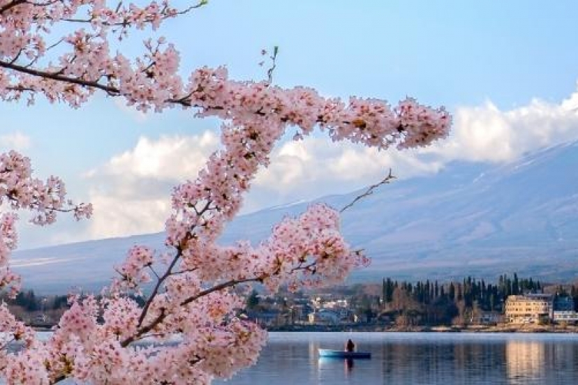 Dịch Vụ Visa Nhật Bản Công Tác Nhập Cảnh Nhiều Lần Dịch Vụ Visa Nhật Bản Công Tác Nhập Cảnh Nhiều Lần