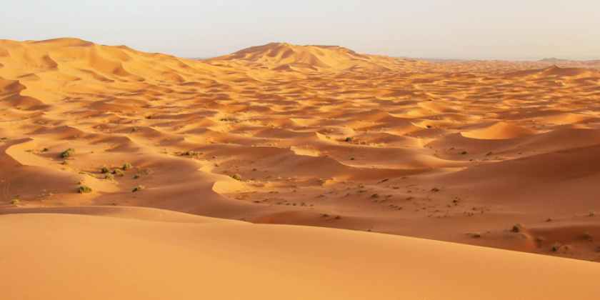 thăm quan sa mạc sahara