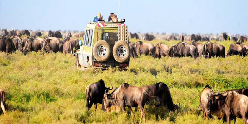khu bảo tồn masai mara