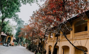 5 lý do Phố Cổ Hà Nội nhất định phải có trong chuyến du lịch của bạn