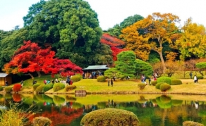 Rực rỡ mùa lá đỏ tại vườn Rikugien 