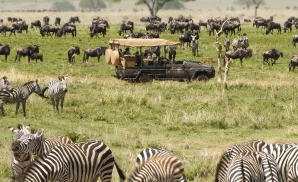 Gầm Thét Của Thiên Nhiên Dưới Ánh Bình Minh