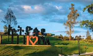 Tiếng Thì Thầm Từ Cây Cổ Thụ