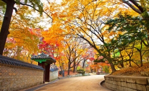 Tour Du Lịch Hàn Quốc 5 Ngày 4 Đêm: Khám Phá Mùa Thu Xứ Sở Kim Chi