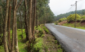 Núi Entoto: Hành Trình Lên Cao Nguyên Thức Tỉnh Lịch Sử Ethiopia