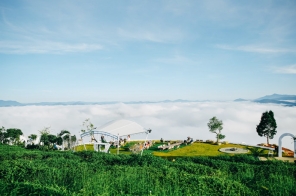 Đà Lạt Thiên Đường Săn Mây - Đồi Chè Cầu Đất - Puppy Farm 3N3Đ