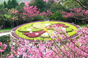 Tour Du lịch Khám Phá Đài Loan 5N4Đ: Đài Bắc - Đài Trung