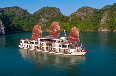 Du Thuyền Pelican