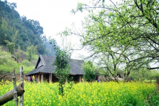 Ghé thăm bản Pa Phách hoang sơ và yên bình 