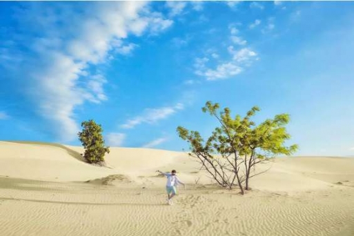 Cồn cát Quang Phú – Thiên đường cát trắng giữa miền Trung nắng gió