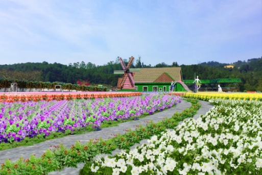 Top 10 nơi tốt nhất để tham quan ở Đà Lạt 