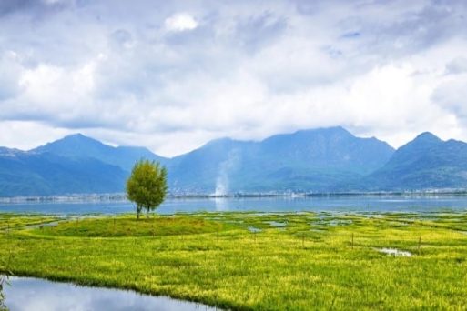 [Tổng hợp đầy đủ] Kinh nghiệm khám phá Đầm Lashihai