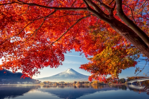 Top 5 điều cần biết trước khi đến Nhật Bản