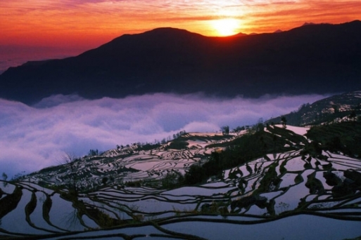 Ruộng bậc thang Hani Hồng Hà - Di sản thế giới ở Trung Quốc