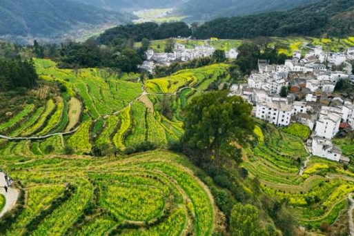 Ruộng bậc thang Hoàng Lĩnh - Tuyệt tác thiên nhiên giữa đại ngàn