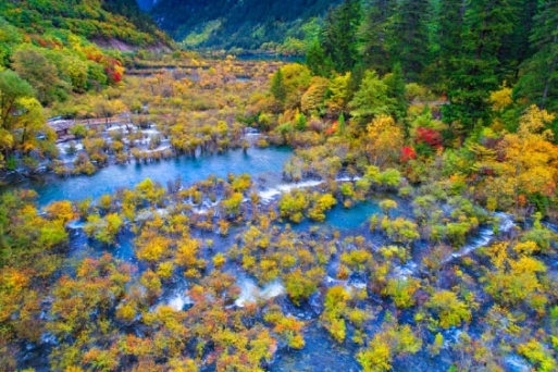 Điều gì khiến Cửu Trại Câu “hot” như thế?