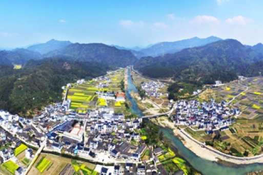 Kinh nghiệm Du lịch Hoàng Sơn chi tiết từ A-Z mới nhất