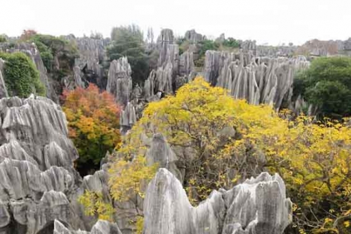 Kinh nghiệm Du lịch Côn Minh