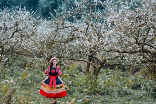 Làm gì ở tỉnh Sơn La?