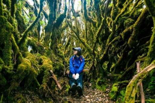 Tà Xùa: Vùng đất trên mây