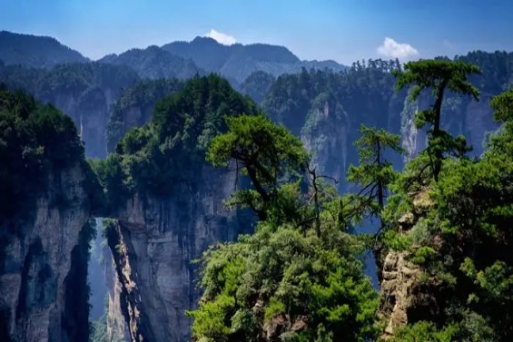 Gợi ý một số lịch trình thú vị ở Trương Gia Giới