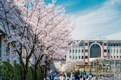 Top 10 trường đại học đẹp nhất Nhật Bản