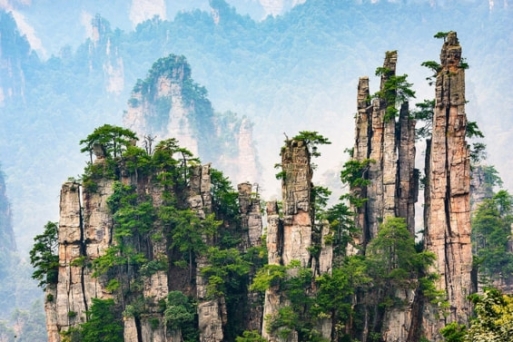 Mở “Thế giới Pandora” huyền bí tại Viên Gia Giới