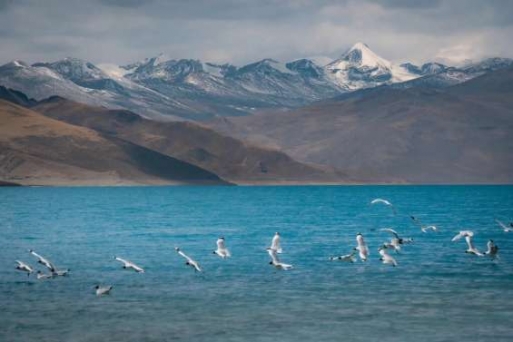 Hồ Yamdrok - Tuyệt tác thiên nhiên giữa lòng Tây Tạng