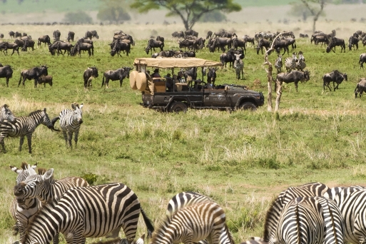 Gầm Thét Của Thiên Nhiên Dưới Ánh Bình Minh