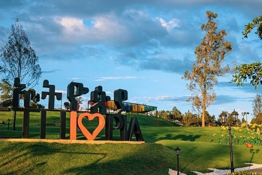 Tiếng Thì Thầm Từ Cây Cổ Thụ