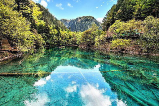 Ẩm Thực Ấn Tượng Tại Cửu Trại Câu: Đặc Sản Không Thể Bỏ Lỡ Trong Tour 2026!