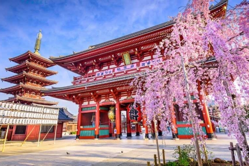 Đi Du Lịch Nhật Bản Thì Làm Gì? Hành Trình Đầy Hấp Dẫn!