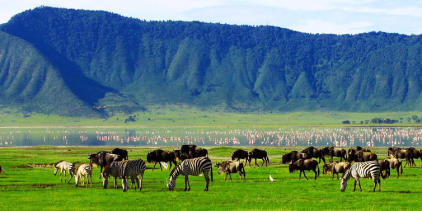 khu bảo tồn ngorongoro 