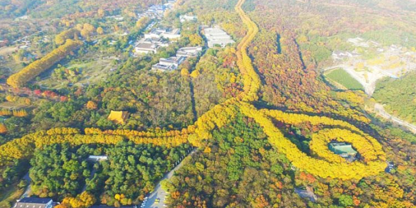 vườn hoa sỹ lâm tại đài loan