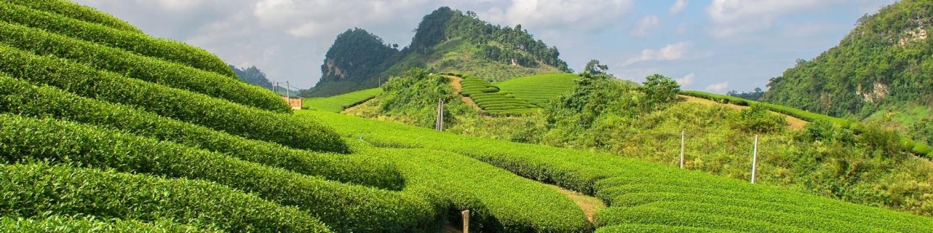 Du lịch Mộc Châu