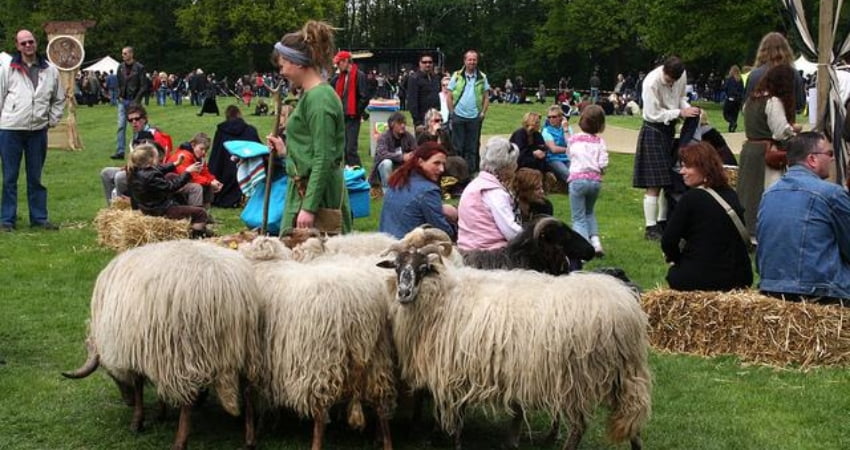 lễ hội chăn cừu ở Nga